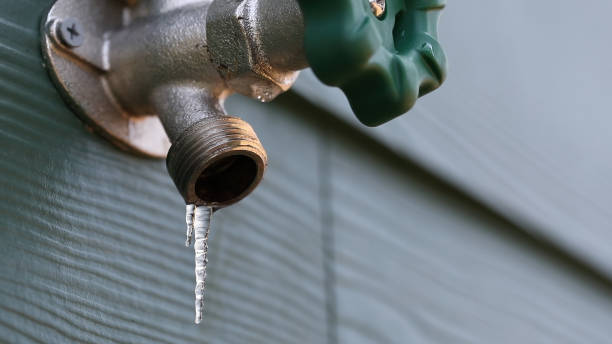  Minorca, LA Plumbing Pros